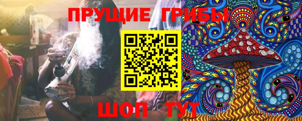 Псилоцибиновые грибы GOLDEN TEACHER Тулун