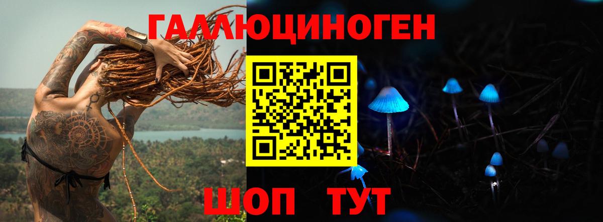 Галлюциногенные грибы Psilocybine cubensis  Псилоцибиновые грибы Cubensis  Вход с VPN  Тулун 